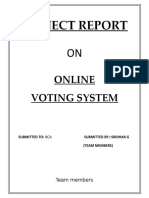 Voting System Report