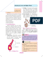 Biology PDF