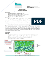 Name: - Score: - Section: - Date Submitted: - Worksheet 4.1 Leaf and Chloroplast Objectives