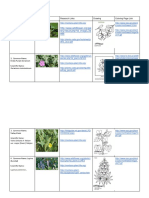 FlowerChart PDF