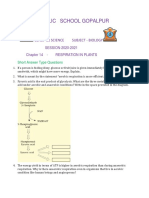 Respiration in Plants Class 11 Questions