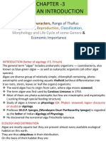 General Characters,: Range of Thallus Organization Economic Importance