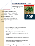 Biofertilizer Part 2