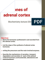 Adrenal Cortex Hormones