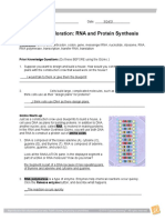 Gizmo - Rna - Protein Synthesis