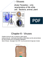 Obligate Intracellular Parasites - Only Demonstrate Characteristics of Life While "Inside" A Host Cell: Bacteria, Animal, Plant