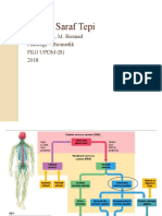 Fisiologi Sistem Saraf Tepi