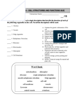 Section 1.3 & 1.6 - Cell Structures and Functions Quiz