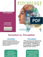 Sensation and Perception: Powerpoint® Presentation