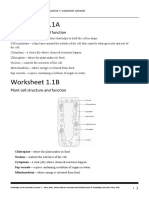 Worksheet 1.1A: Plant Cell Structure and Function