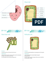 T SC 2549639 Ks3 Biology Display Posters Ver 6