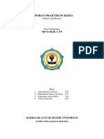 XI MIPA 2 - Kimia - Laporan Praktikum - Faktor Laju Reaksi