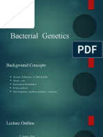Bacterial Genetics