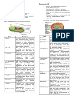 Premidterms Notes