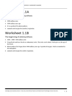 Worksheet Answer - CLS - Science - Grade 9