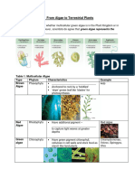 3.1 From Algae To Terrestrial Plants-Student Sheet