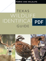 Texas Wildlife Identification Guide