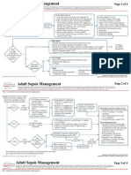 Clin Management Sepsis Management Adult Web Algorithm