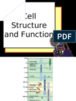 Cell Structure and Function