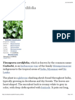 Tinospora Cordifolia - Wikipedia