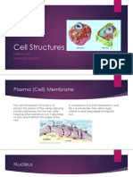 Cell Structures Final