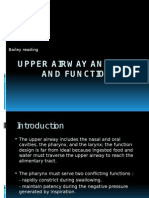 Upper Airway Anatomy and Function