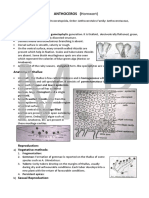 Anthoceros ANTHOCEROS (Hornwort) : Morphology of Thallus