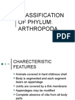 Clasification of Insects