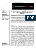 Genetic Diversity of Drought Tolerant Rice (Oryza Condition: Sativa L.) Genotypes Under Drought Stress