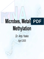 DR - Amy Yasko Microbes Metals Methylation