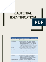 Bacterial Identification