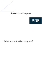 Restriction Enzyme