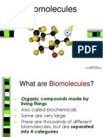 Bio 7