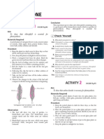 Activity 2 Chemical Reactions and Equations Class 10