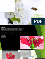 Pollination: and Its Types