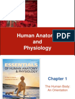 CHAPTER 1 The Human Body An Orientation