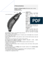 Experiment: 2. Study of Museum Specimens