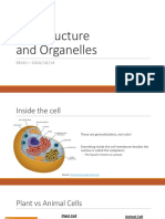 Cell Structure and Organelles: SBI4U-2016/10/14