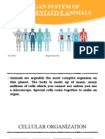 Organ System of Representative Animals