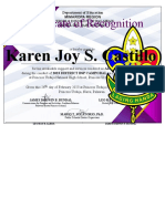 District BSP Cert Adult