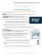 Human Karyotyping Gizmo Worksheet 