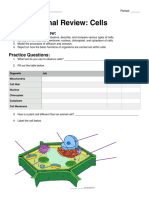3.1 Final Review - Cells