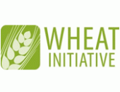 Wheat Initiative