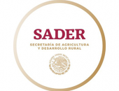 SADER