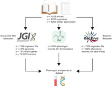 Figure shows the sources harnessed to assemble a dataset to assemble fermentative prokaryotes.