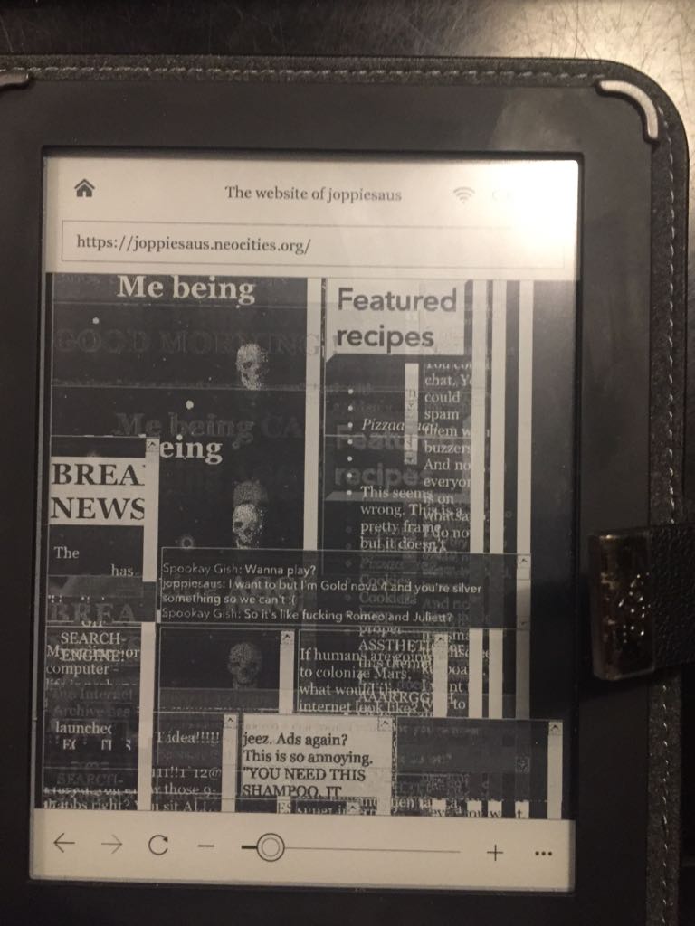 my website viewed on a ereader