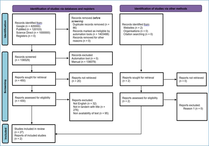 PRISMA diagram showing how documents were included and excluded in the review