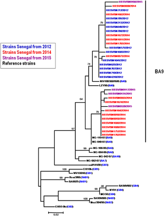 Fig 3