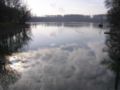 Insel Rott, Baggersee "Insel Rott", südlicher Teil