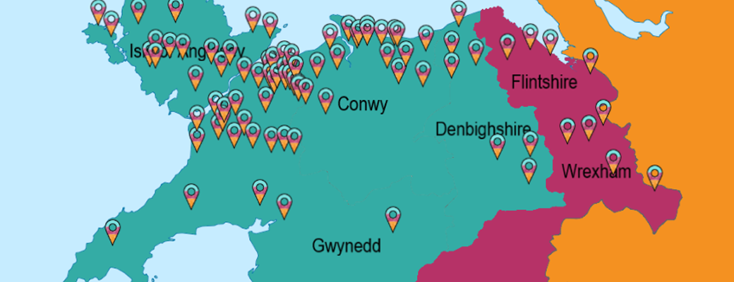 Company partner map